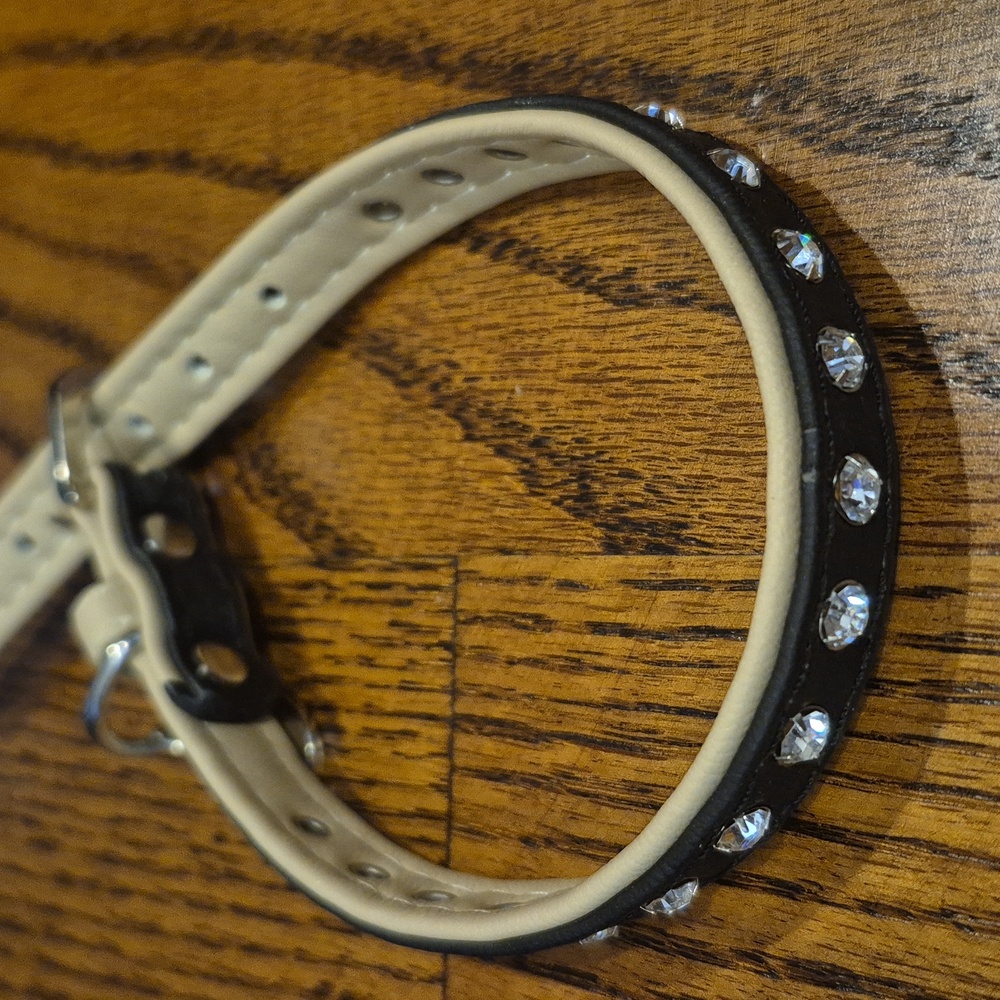 Badass, Beautiful, Black Dog Or Cat Collar with Swarovski Rhinestones